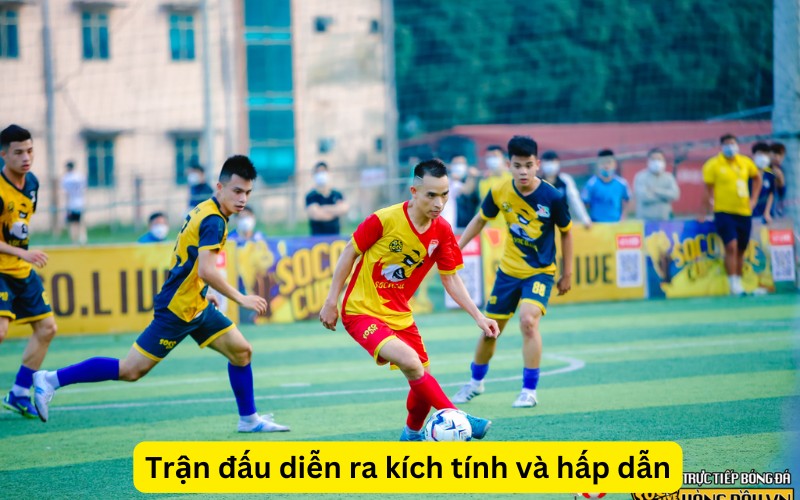 giải vô địch cúp socolive